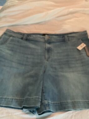 Talbots denim shorts Plus